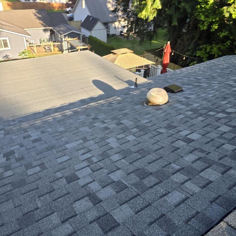 Asphalt shingle roof with vent and skylight components