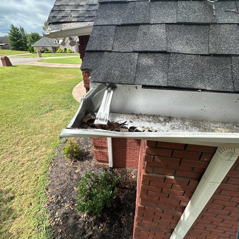 Roof shingles and gutter with debris buildup