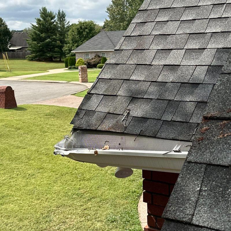 Roof shingles and gutter mesh with visible damage