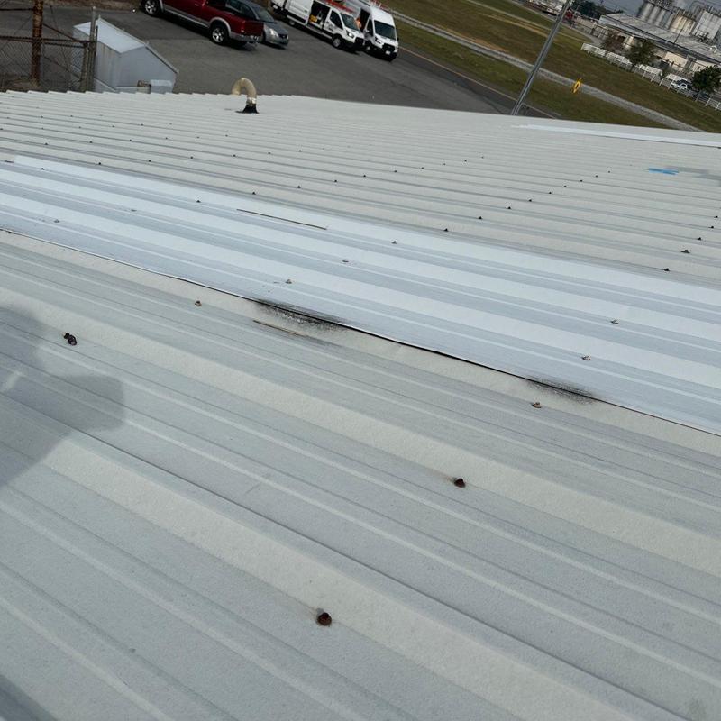 Metal roofing panels with screw damage and discoloration