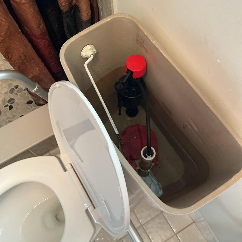 Toilet cistern interior with flush valve and float chain