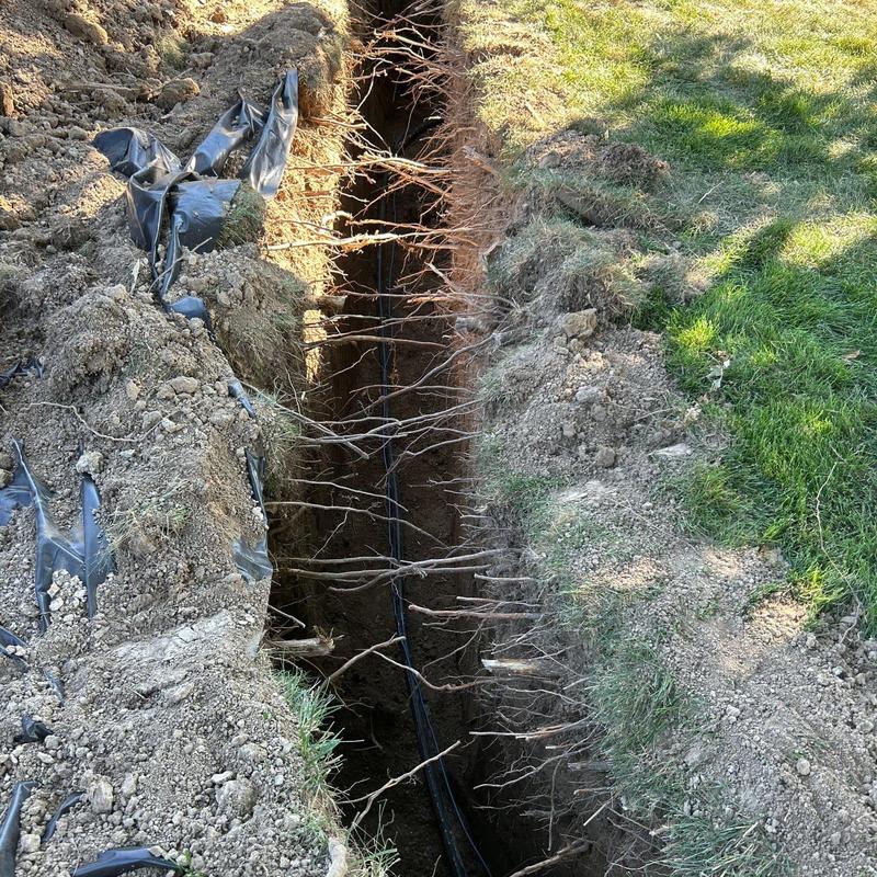 Underground irrigation pipe replacement trench with roots