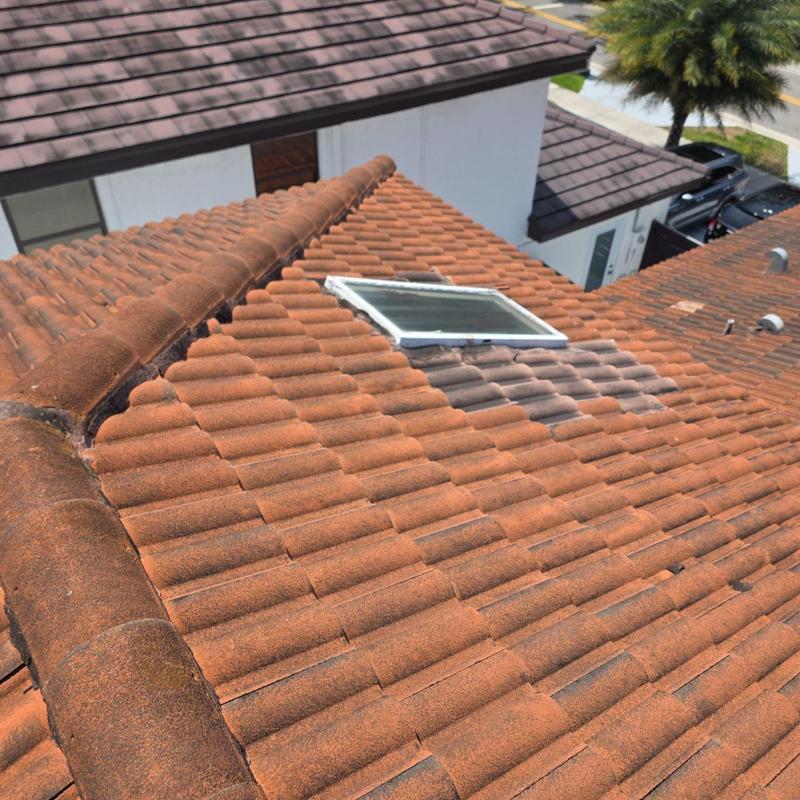 Aged clay tile roof with skylight on residential home