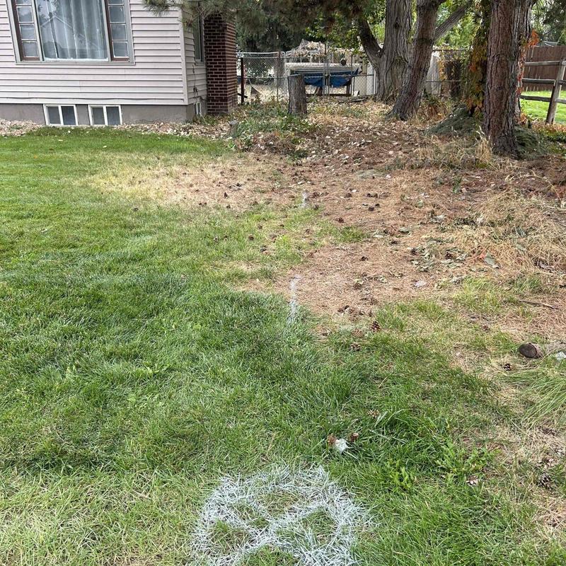 Mainline sewer pipe location marked in residential yard