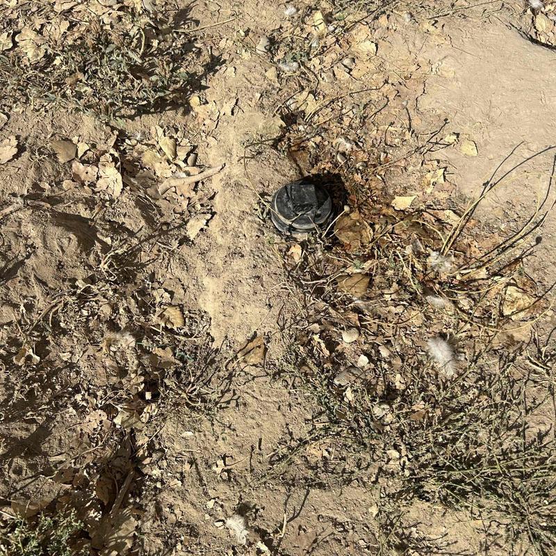 Outdoor sewer cleanout cap surrounded by dry soil and weeds