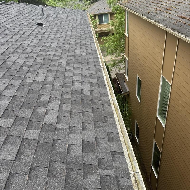 Gutter system along asphalt shingle roof, before cleaning