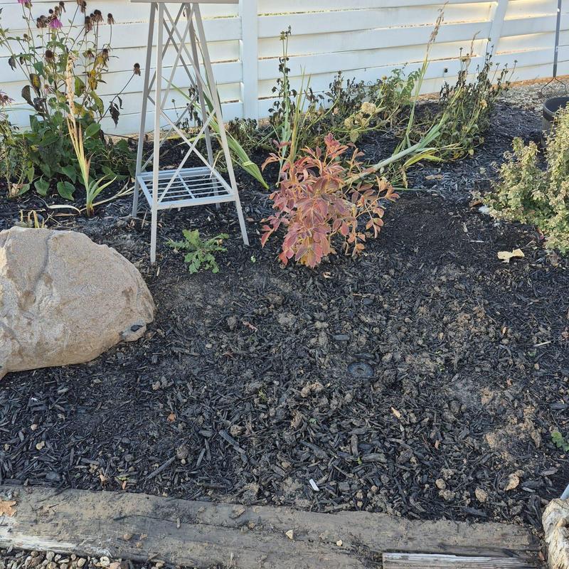 Irrigation valve excavation site with garden plants