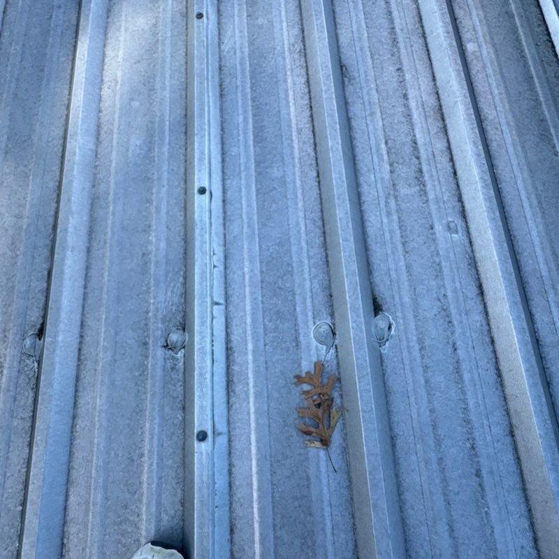 Metal roofing panels with hail damage and leaf debris