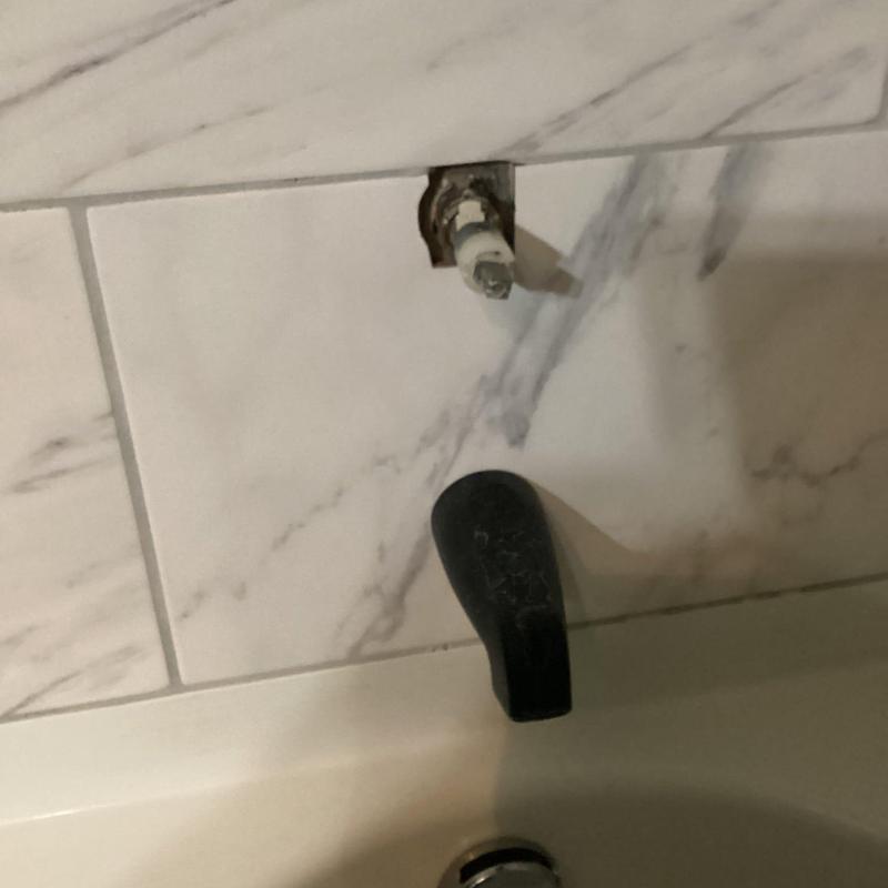 Moen positemp shower valve trim missing and tub spout