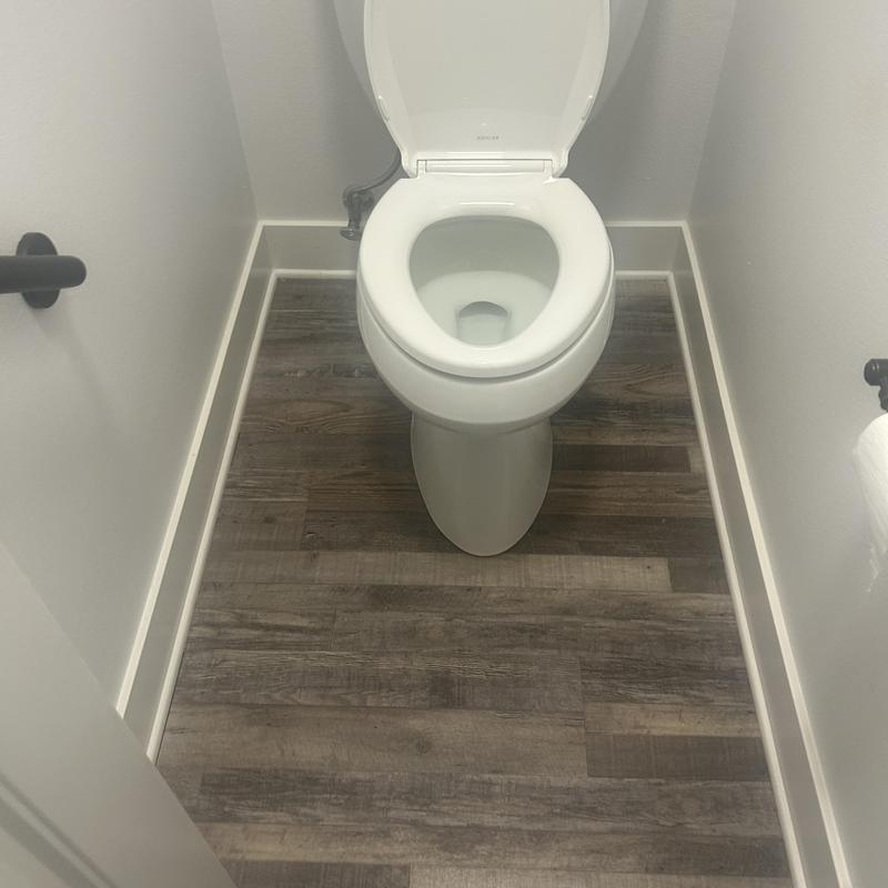 Pressure-assisted toilet installation in bathroom Pressure-assisted toilet installation in bathroom