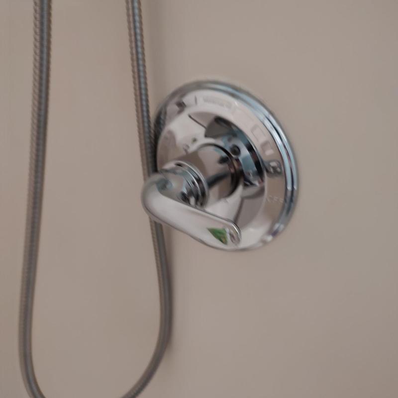 Delta shower valve and trim with handheld hose Delta shower valve and trim with handheld hose