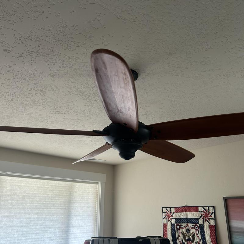 Ceiling fan with wooden blades in residential room