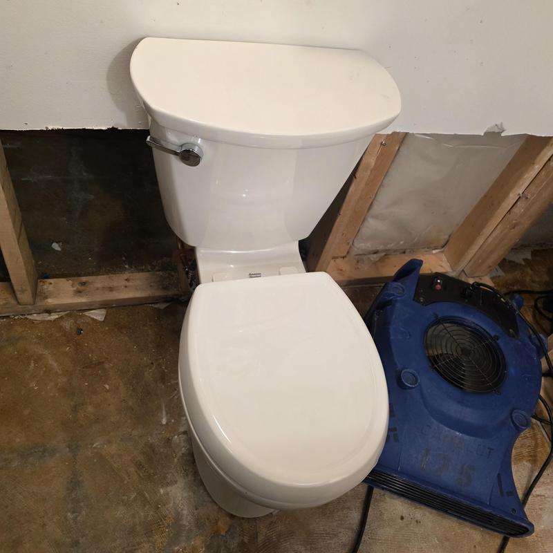 American Standard Cadet Pro toilet installation in basement