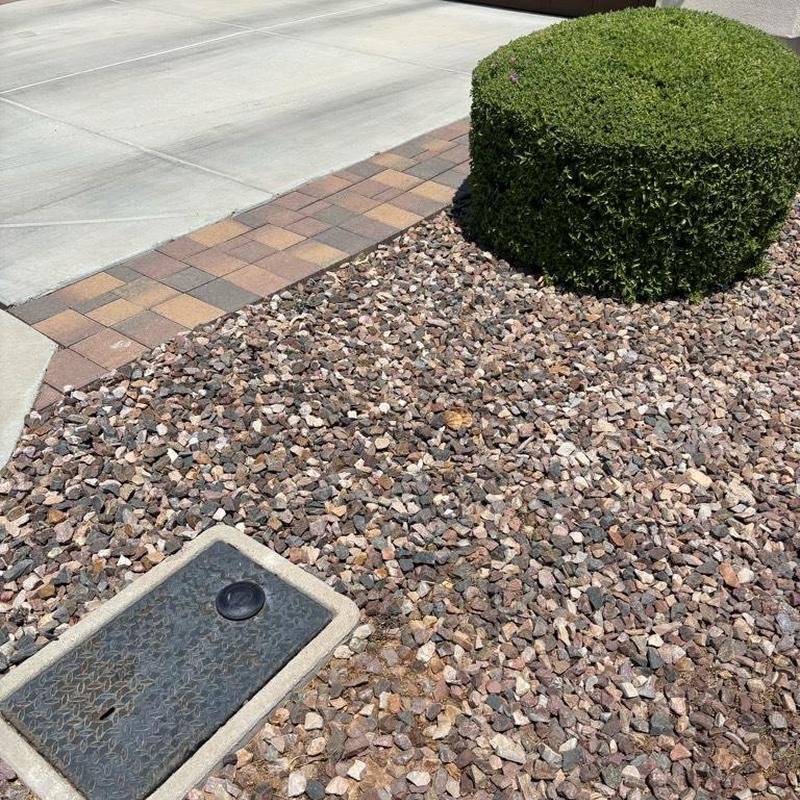 Water main access box with gravel and trimmed shrub
