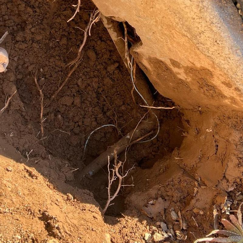 Main water line excavation with exposed pipe and roots