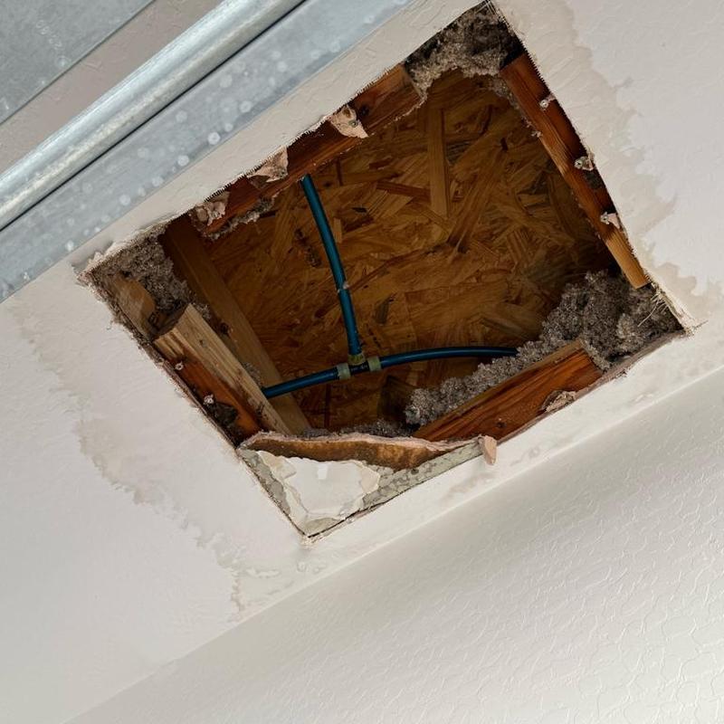 12 PEX pipe tee leak with exposed ceiling drywall