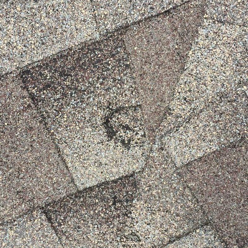 Roof shingles with seal strip close-up detail