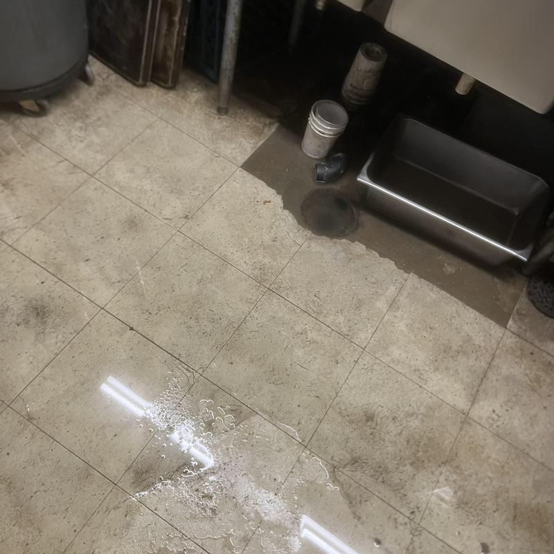 4-inch sewer drain with water on floor near cleanout