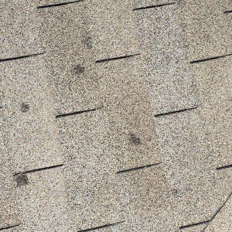Laminated roof shingles close-up in Charcoal color