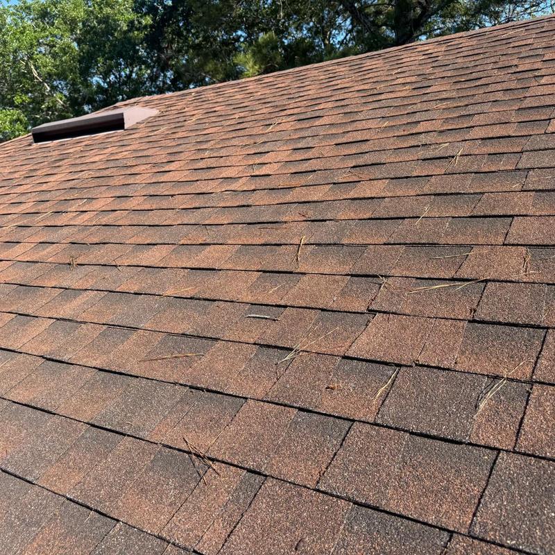 Asphalt shingle roof with minor debris and wear