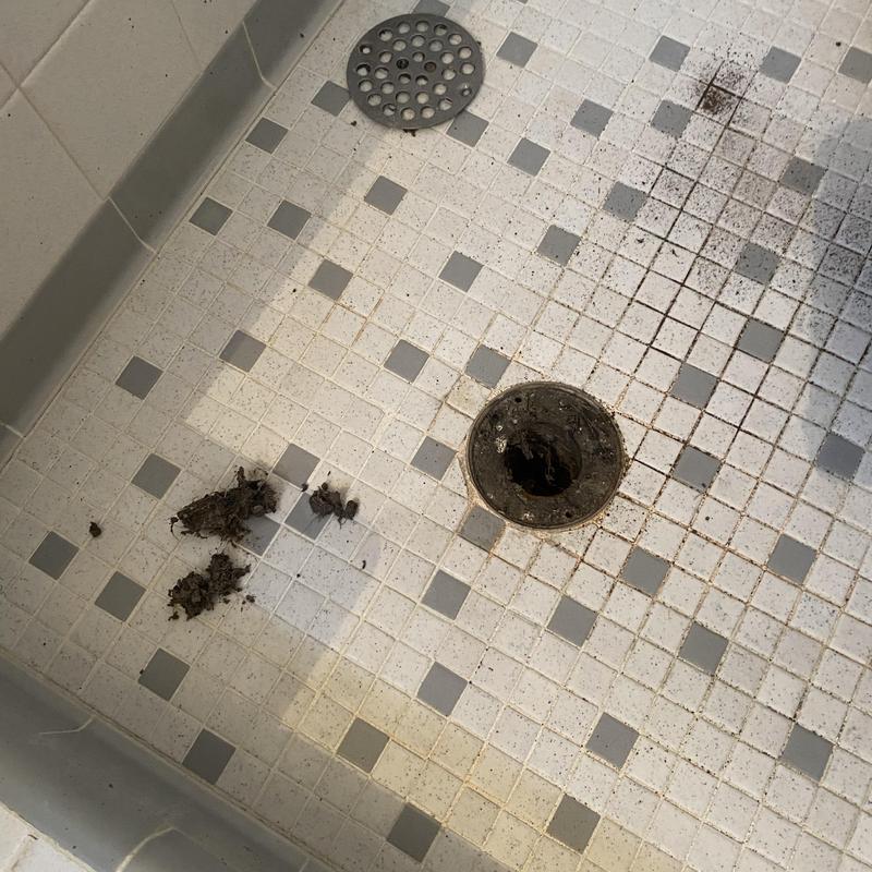 Shower drain with removed hair clog in master bath Shower drain with removed hair clog in master bath