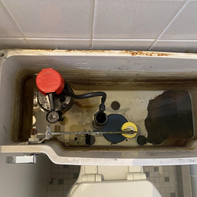 3-gallon flush toilet tank with valve components 3-gallon flush toilet tank with valve components