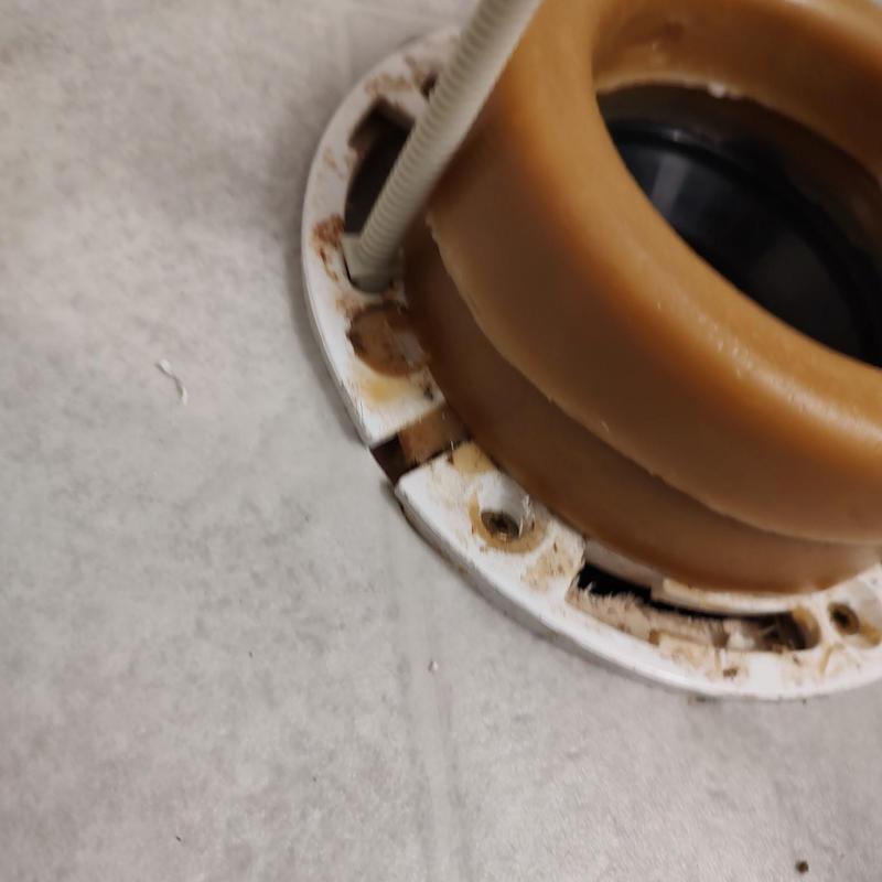 Toilet flange with wax ring on bathroom floor Toilet flange with wax ring on bathroom floor