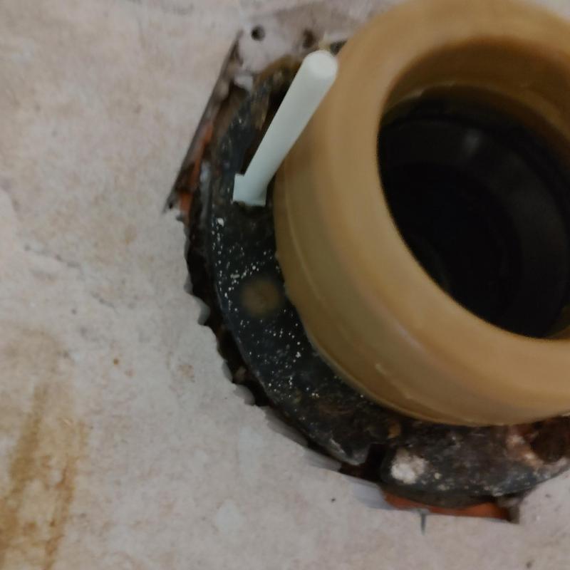 Toilet flange with wax ring seal on bathroom floor Toilet flange with wax ring seal on bathroom floor