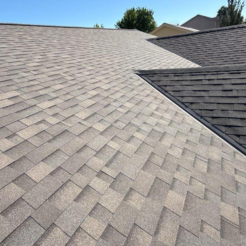 Malarkey Vista architectural shingles on roof