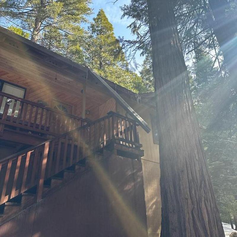 Steel seamless gutters with leaf blaster guards on cabin