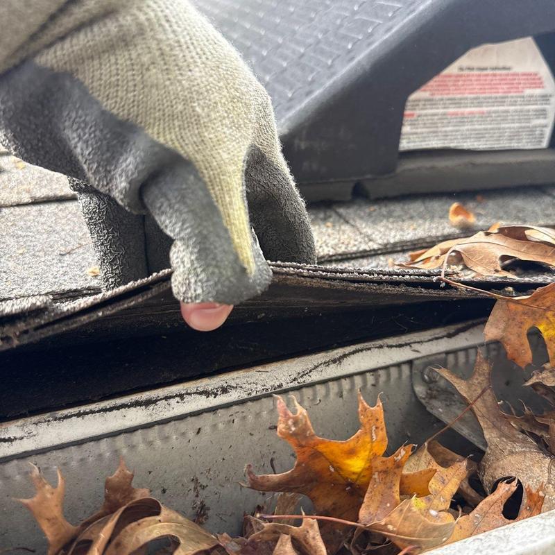 Asphalt shingles lifted showing roof deck damage