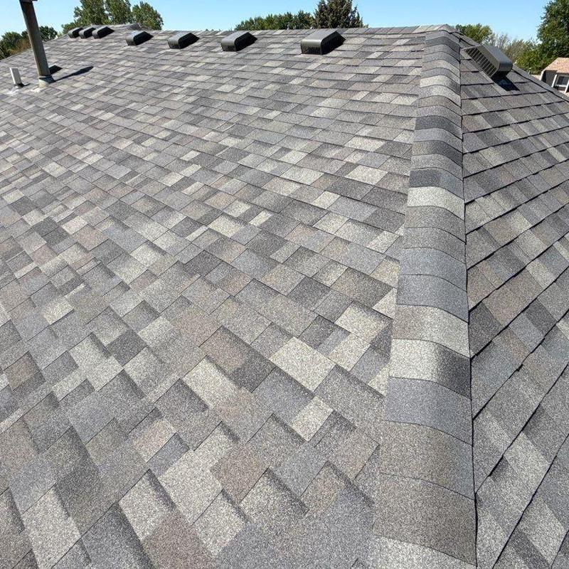 Malarkey Vista class 4 architectural shingles roof