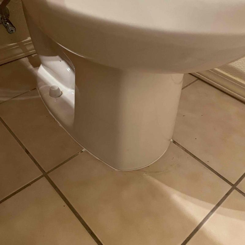 Toilet base with new repair flange ring installed