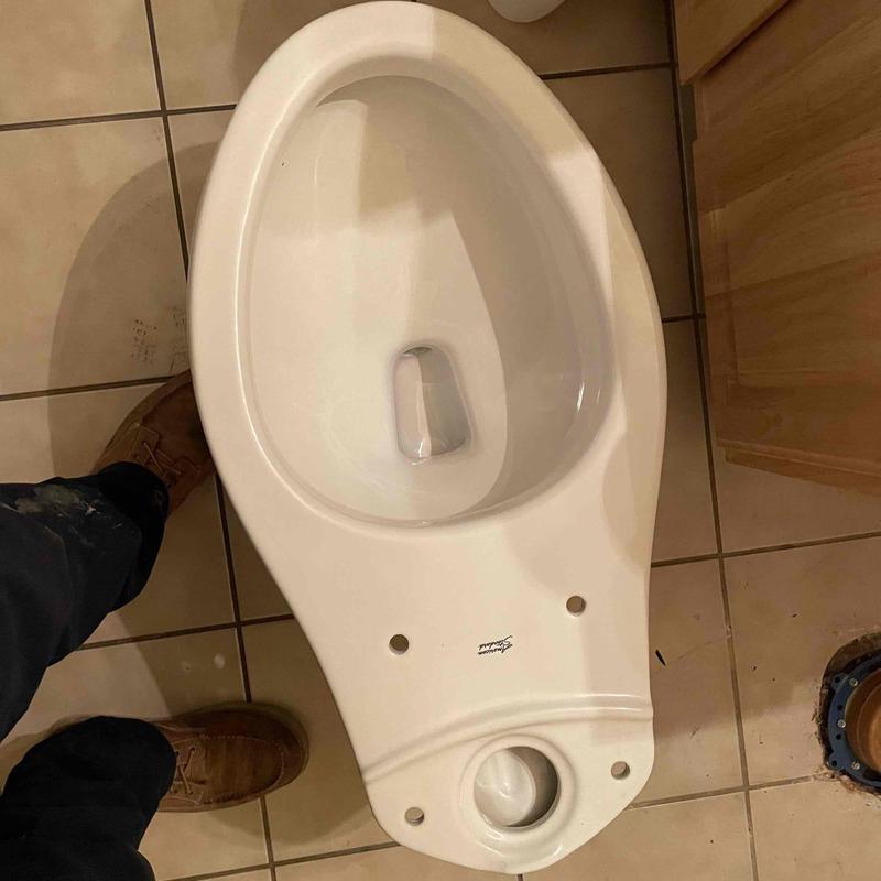 Toilet bowl replacement with flange repair ring installation