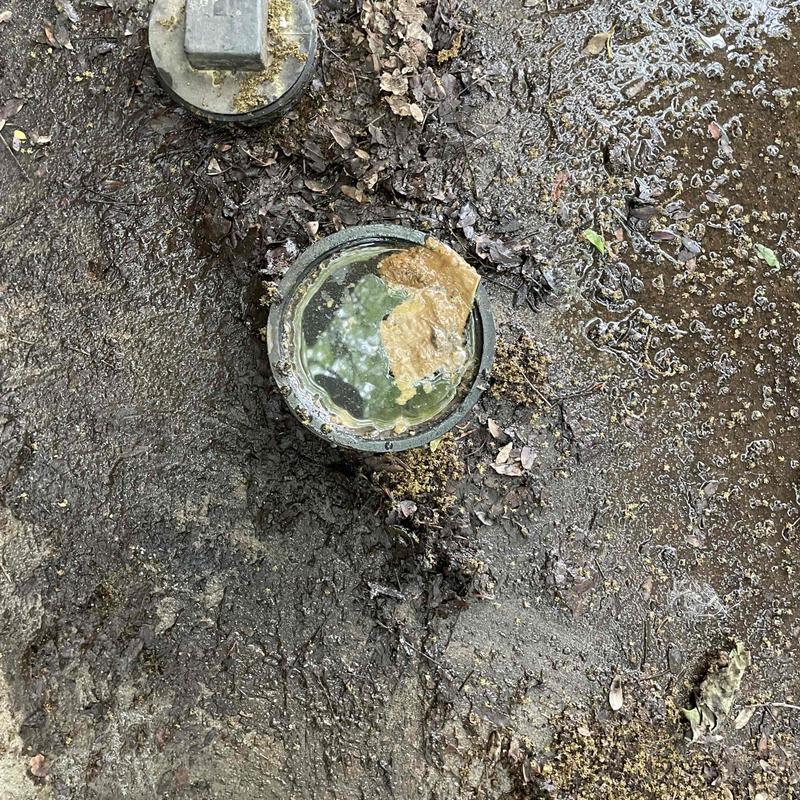 Sewer cleanout with standing sewage and debris
