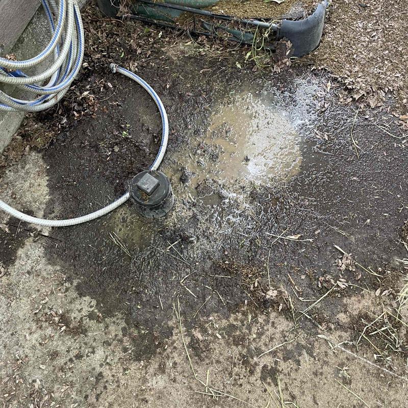 Sewer cleanout with standing sewage and water leakage