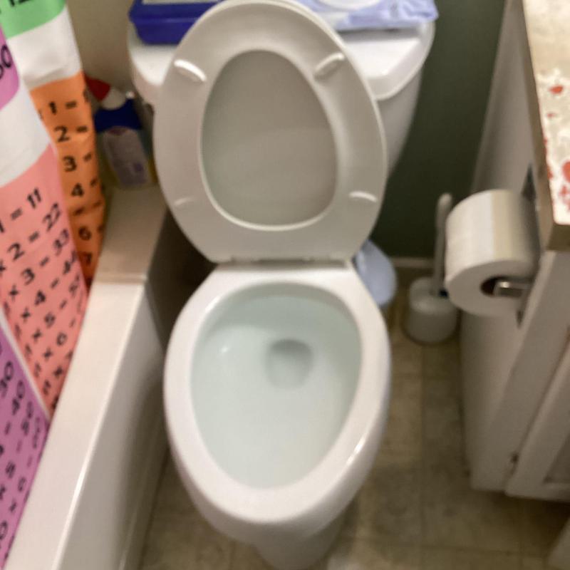 Toilet bowl and seat with open lid in bathroom