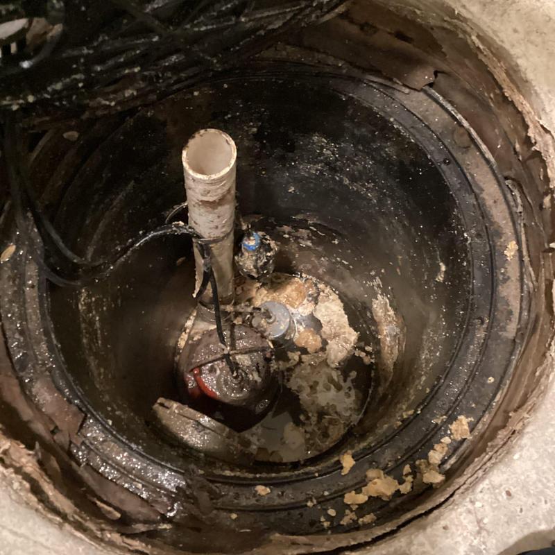 Liberty pump float and grease buildup inside tank