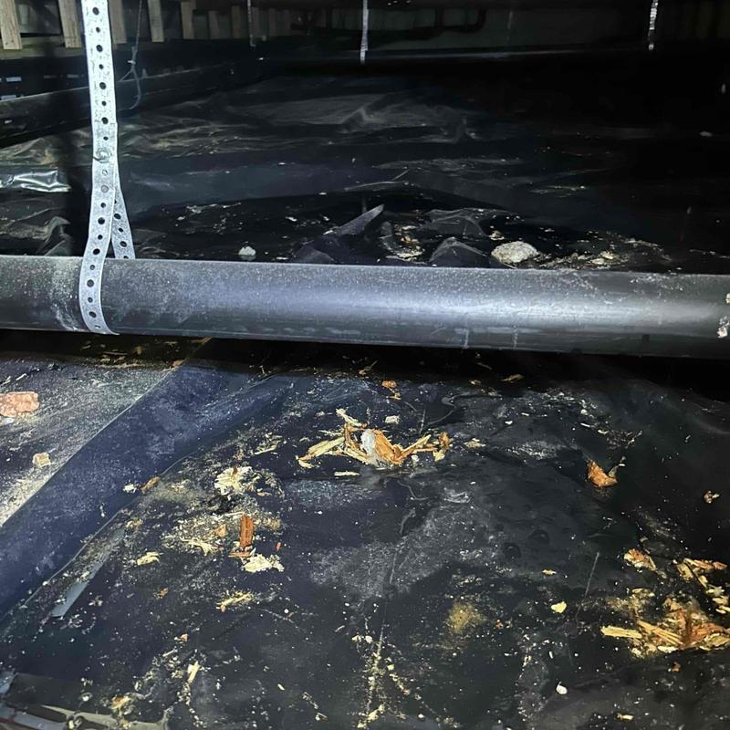 Hallway toilet drain pipe in crawl space