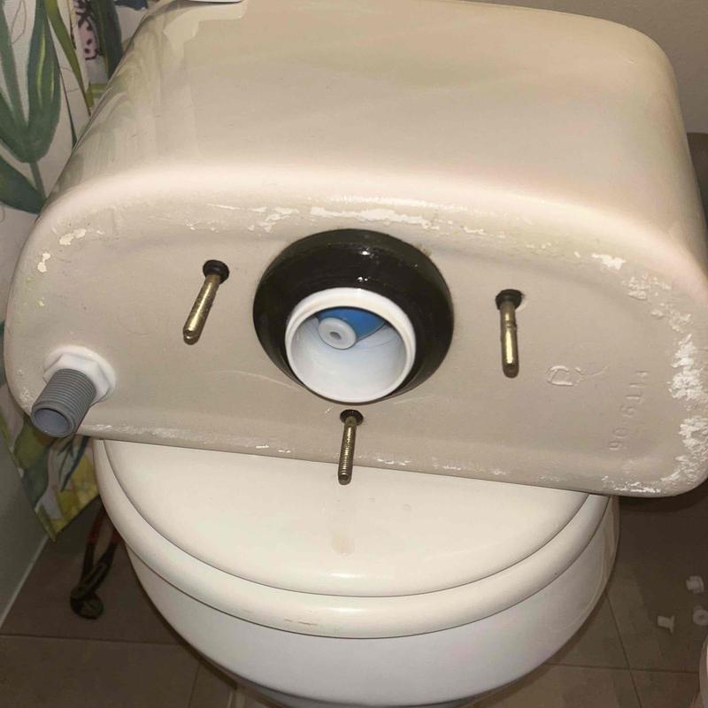 Toilet tank removed showing gasket and bolts installation
