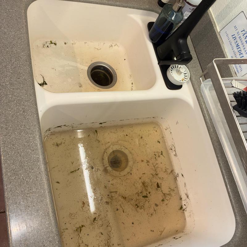 Kitchen sink drain clogged with debris and water Kitchen sink drain clogged with debris and water