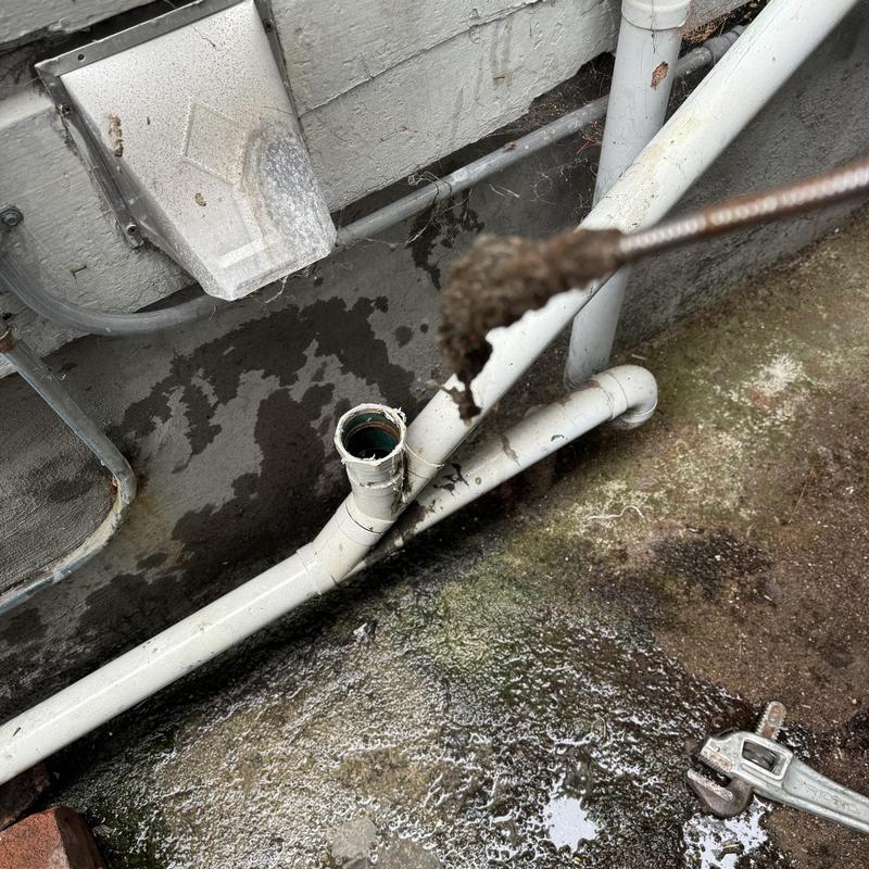 Clogged drain line clean-out snaking in residence Clogged drain line clean-out snaking in residence