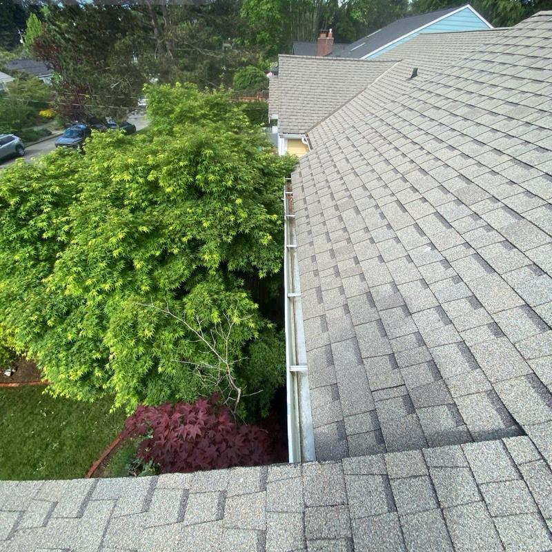 Gutter cleaning and roof debris removal in Seattle