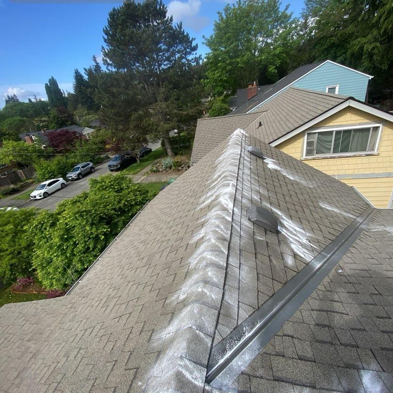 Roof shingles with moss treatment applied