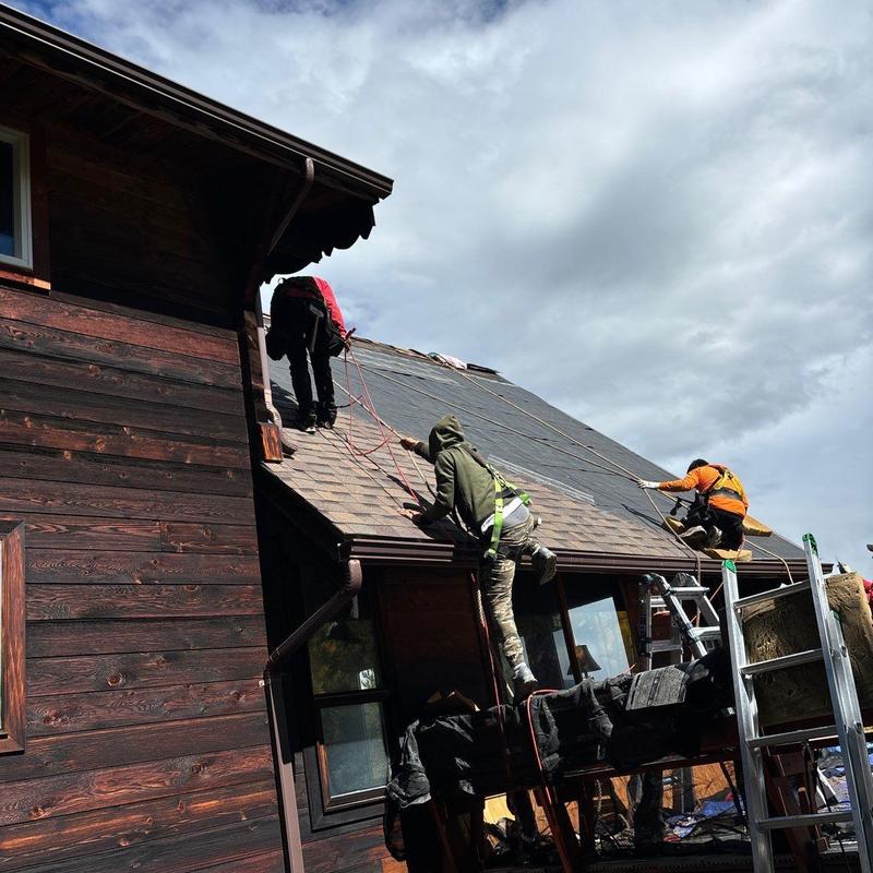 Asphalt roof shingle installation with safety harnesses