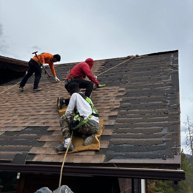 Asphalt shingle roof installation with safety harnesses