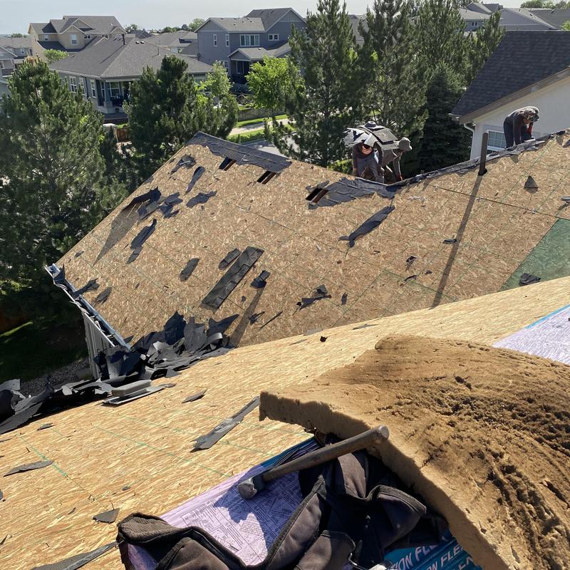 Asphalt shingle roof demolition with plywood deck exposed