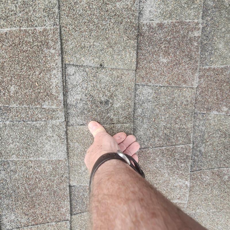 Asphalt roof shingles with hail damage inspection