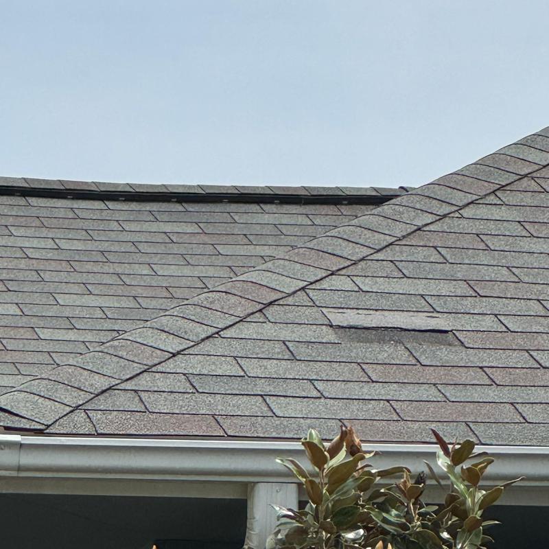 Roof shingles with visible loose and lifted section
