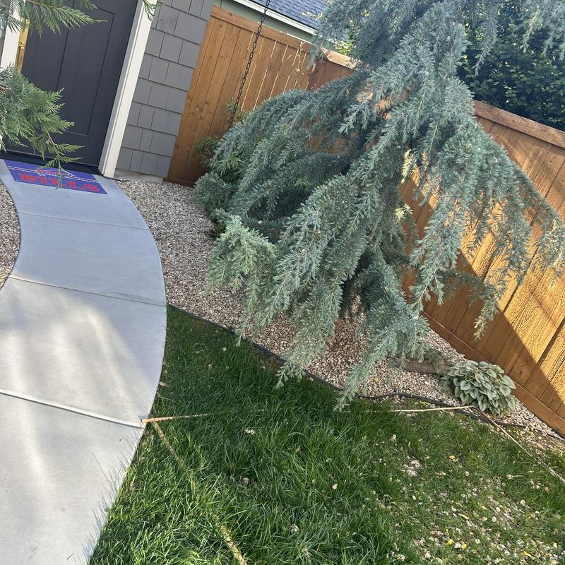 Hot tub wiring and patio outlet estimate, Boise backyard